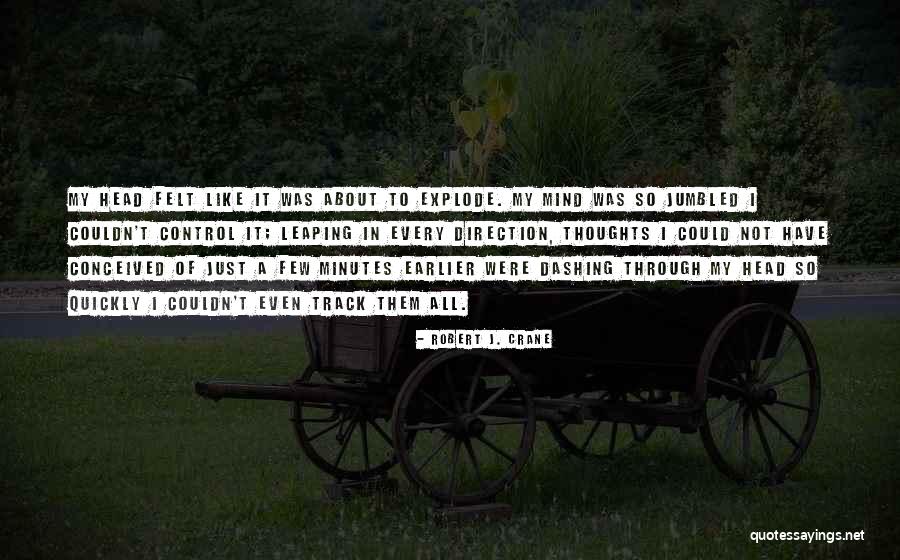 Thoughts Going Through My Head Quotes By Robert J. Crane Thoughts Going Through My Head Quotes By Robert J. Crane