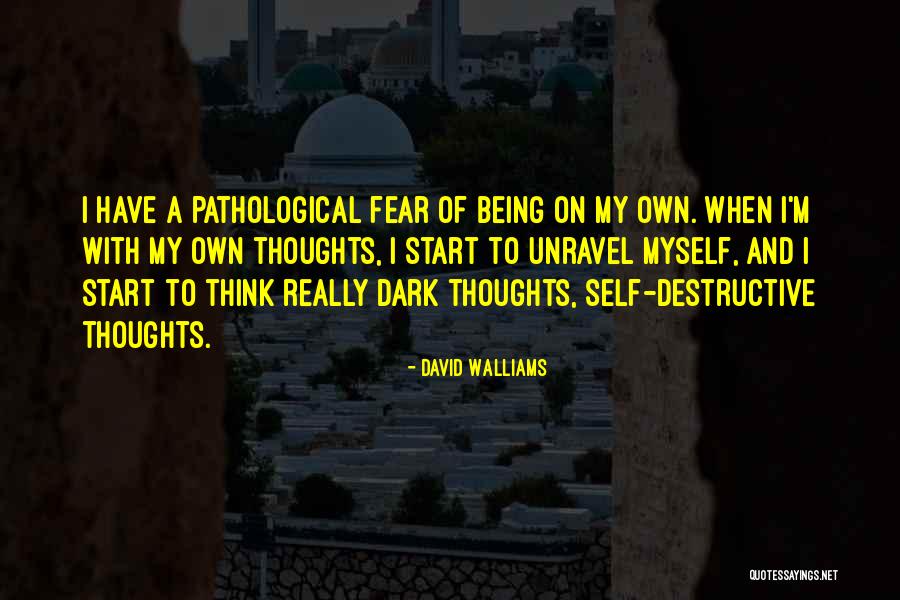 Thoughts On Self Quotes By David Walliams Thoughts On Self Quotes By David Walliams
