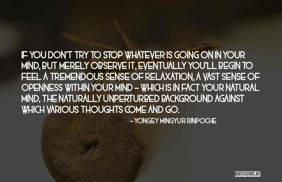 Thoughts On The Mind Quotes By Yongey Mingyur Rinpoche Thoughts On The Mind Quotes By Yongey Mingyur Rinpoche