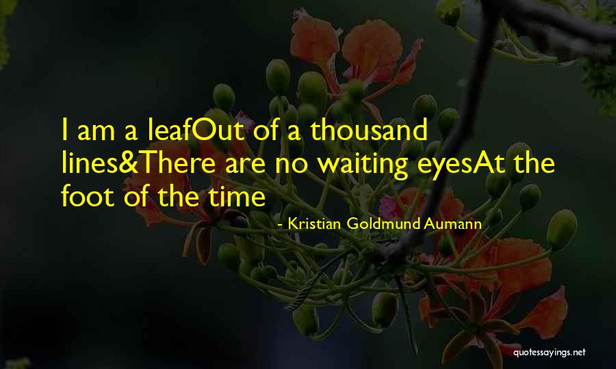 Thousand Foot Quotes By Kristian Goldmund Aumann Thousand Foot Quotes By Kristian Goldmund Aumann
