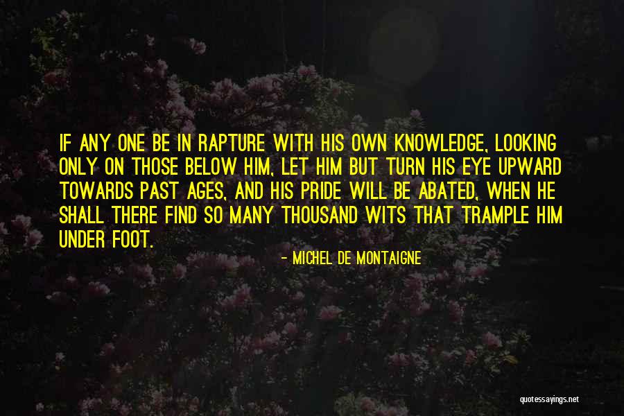 Thousand Foot Quotes By Michel De Montaigne Thousand Foot Quotes By Michel De Montaigne