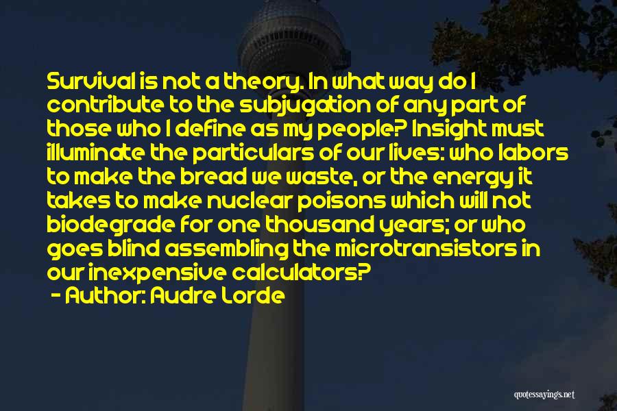 Thousand Years Quotes By Audre Lorde