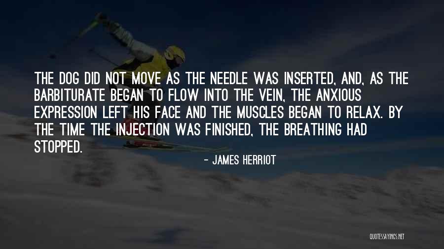 Thpoor Quotes By James Herriot Thpoor Quotes By James Herriot