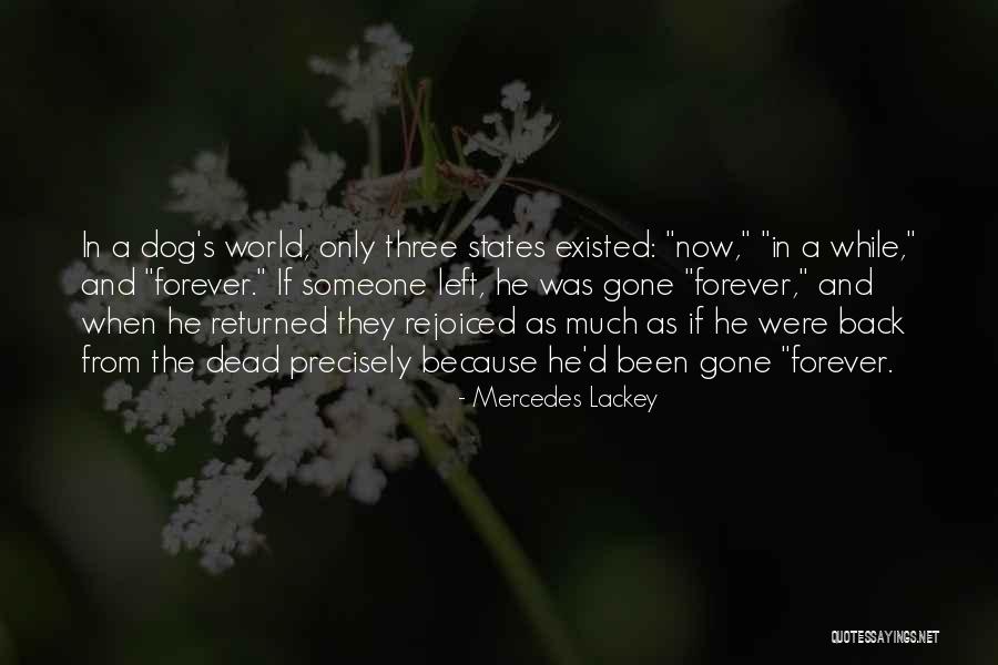 Thr33 Volleyball Quotes By Mercedes Lackey Thr33 Volleyball Quotes By Mercedes Lackey
