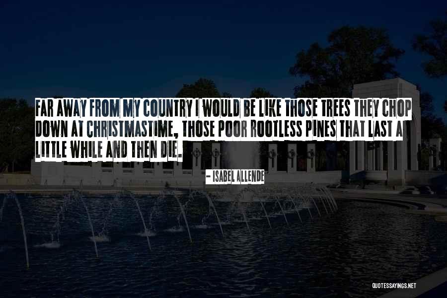 Thralldom Quotes By Isabel Allende Thralldom Quotes By Isabel Allende