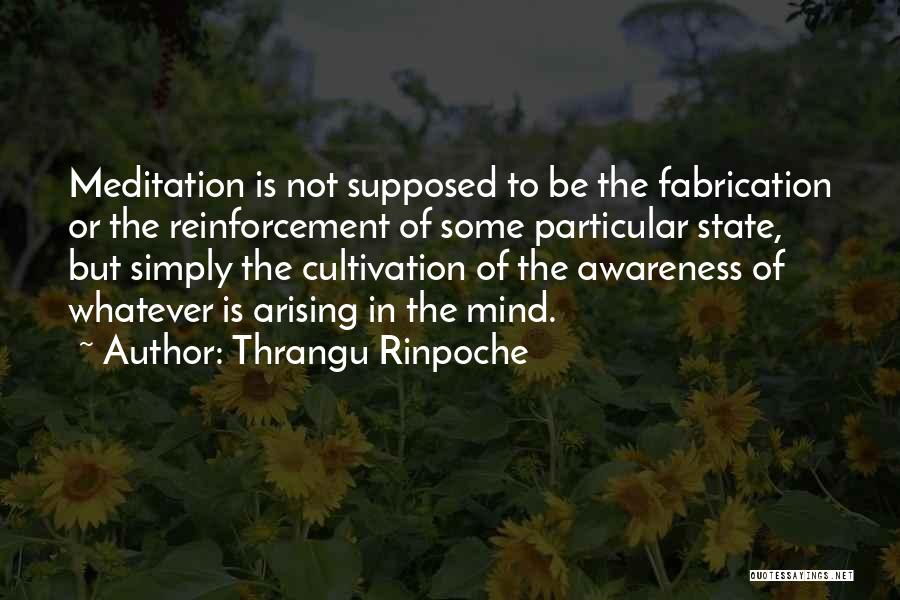 Thrangu Rinpoche Quotes 947716