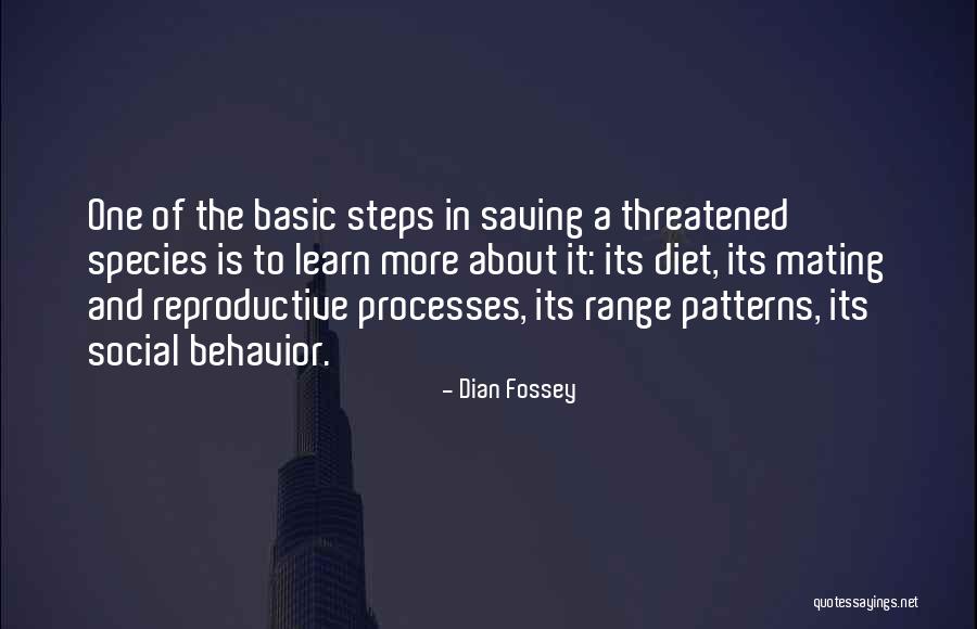 Threatened Species Quotes By Dian Fossey Threatened Species Quotes By Dian Fossey