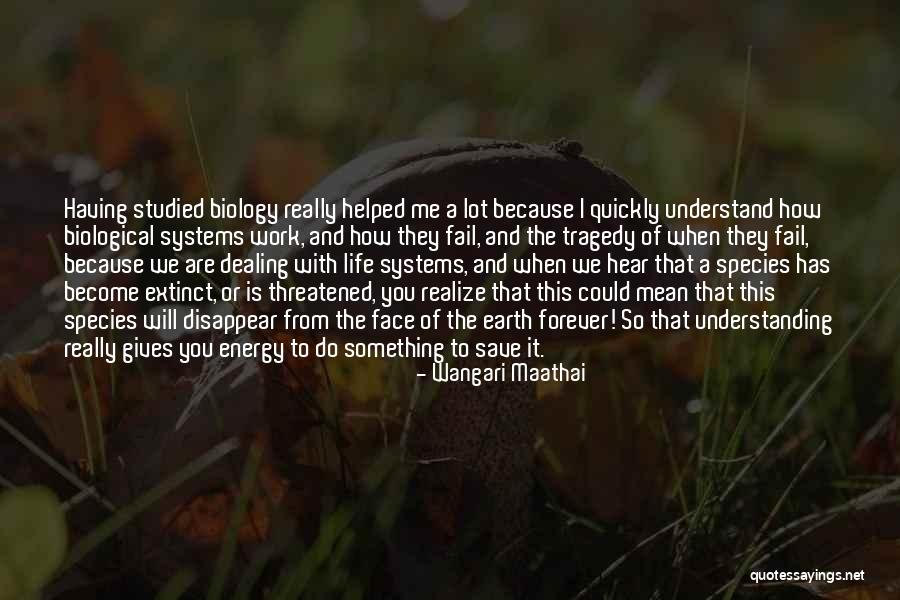 Threatened Species Quotes By Wangari Maathai Threatened Species Quotes By Wangari Maathai