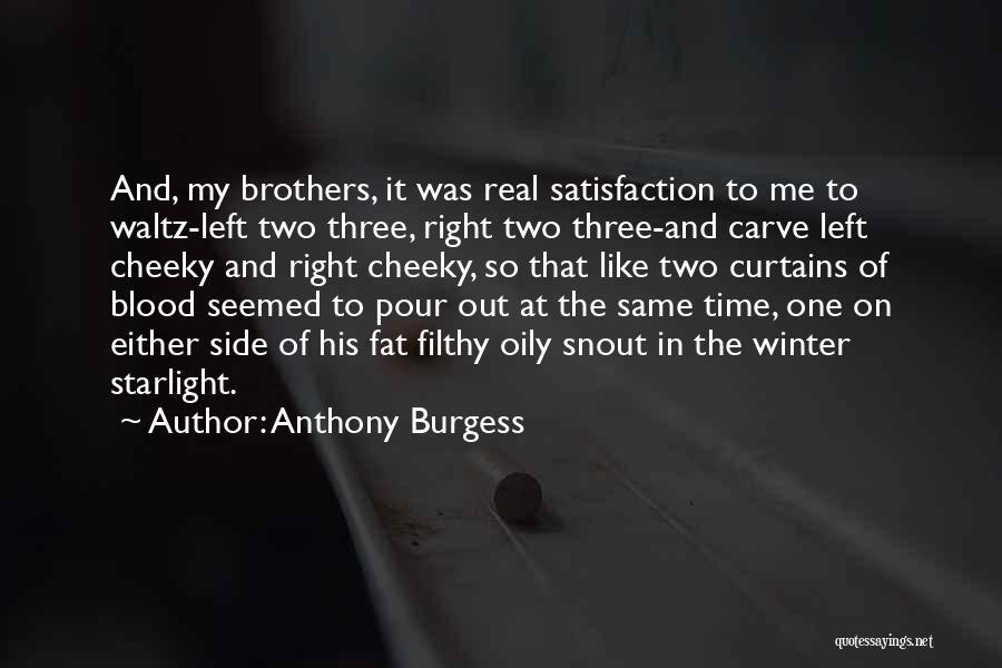Three Brothers Quotes By Anthony Burgess