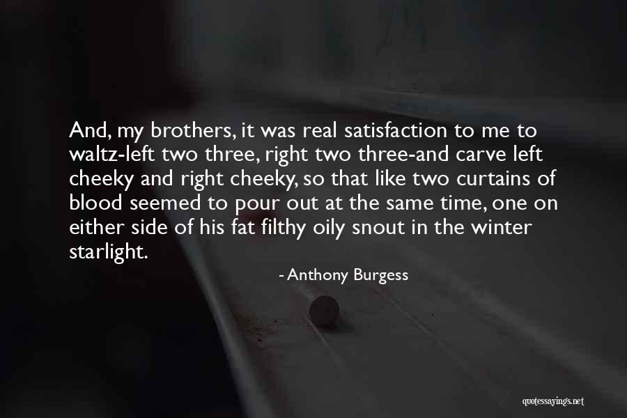 Three Brothers Quotes By Anthony Burgess