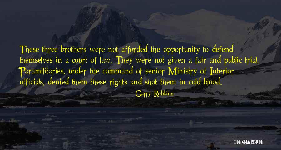 Three Brothers Quotes By Garry Robbins