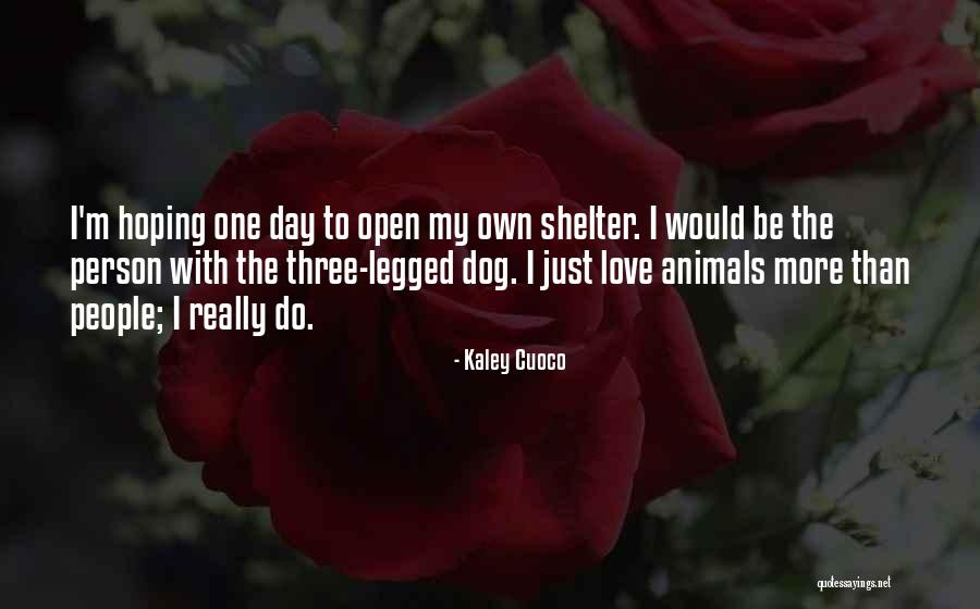 Three Legged Dog Quotes By Kaley Cuoco Three Legged Dog Quotes By Kaley Cuoco
