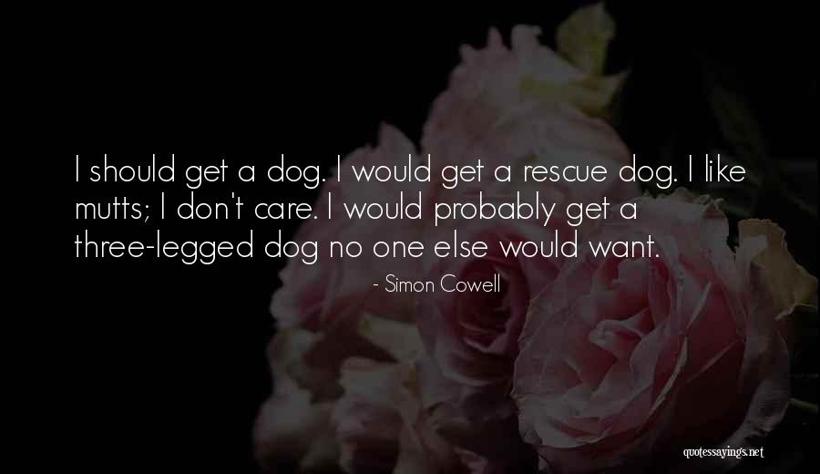 Three Legged Dog Quotes By Simon Cowell Three Legged Dog Quotes By Simon Cowell