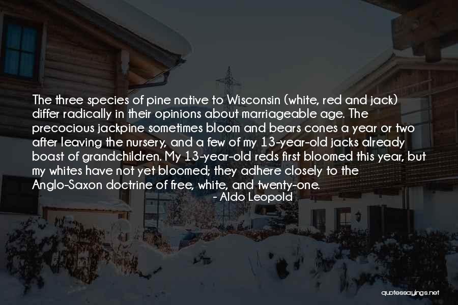 Three Pines Quotes By Aldo Leopold Three Pines Quotes By Aldo Leopold