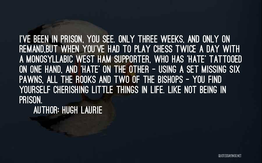 Three Things In Life Quotes By Hugh Laurie