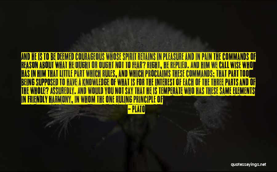 Three Wise Quotes By Plato Three Wise Quotes By Plato