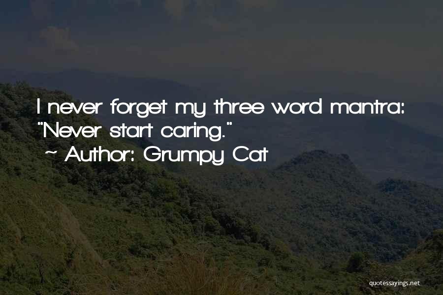 Three Word Quotes By Grumpy Cat