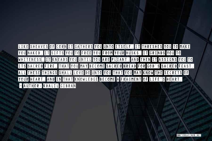 Threshes Quotes By Khalil Gibran Threshes Quotes By Khalil Gibran