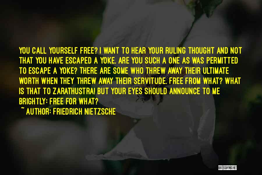 Threw Me Away Quotes By Friedrich Nietzsche