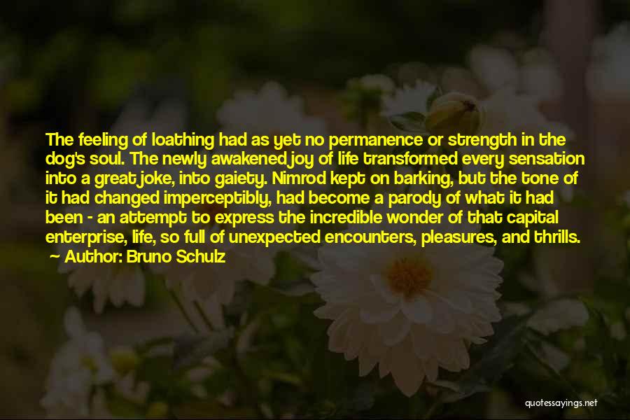 Thrills In Life Quotes By Bruno Schulz