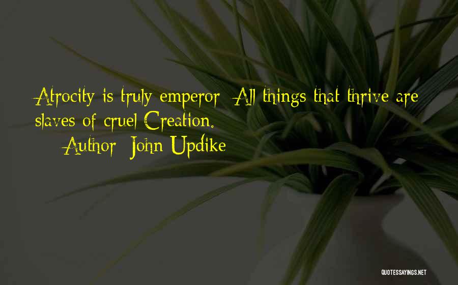 Thrive Quotes By John Updike