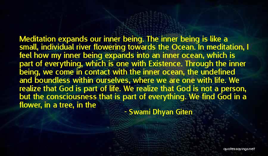 Through A Child's Eyes Quotes By Swami Dhyan Giten