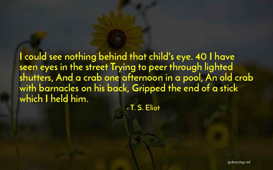 Through A Child's Eyes Quotes By T. S. Eliot Through A Child's Eyes Quotes By T. S. Eliot
