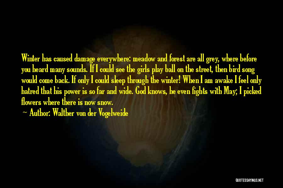 Through All The Fights Quotes By Walther Von Der Vogelweide