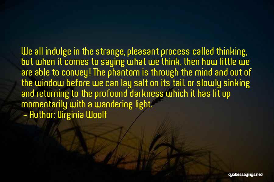 Through Darkness Comes Light Quotes By Virginia Woolf