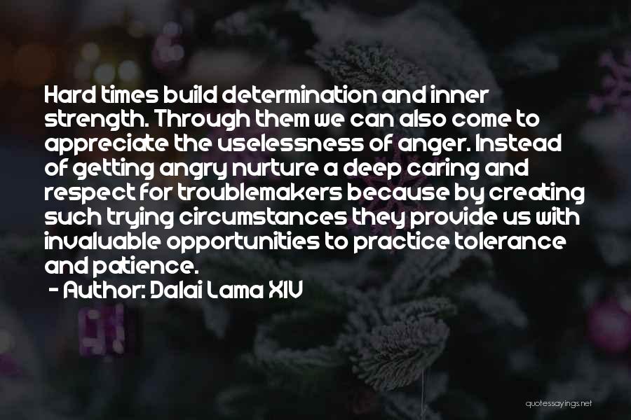 Through Hard Times Quotes By Dalai Lama XIV