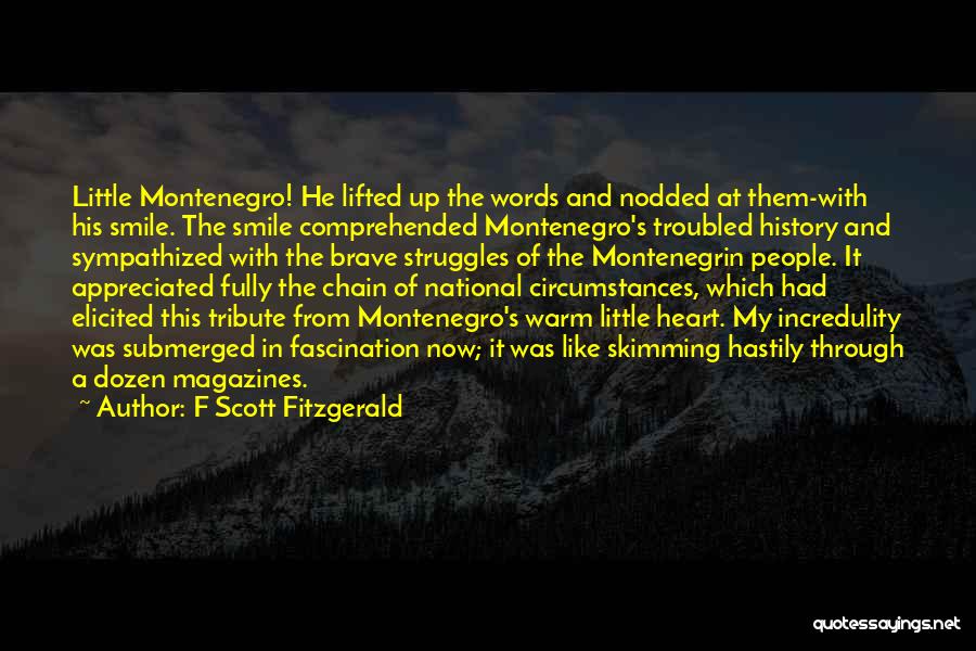 Through My Struggles Quotes By F Scott Fitzgerald