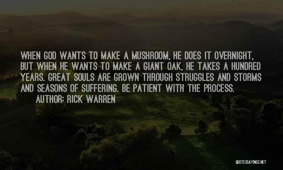 Through My Struggles Quotes By Rick Warren