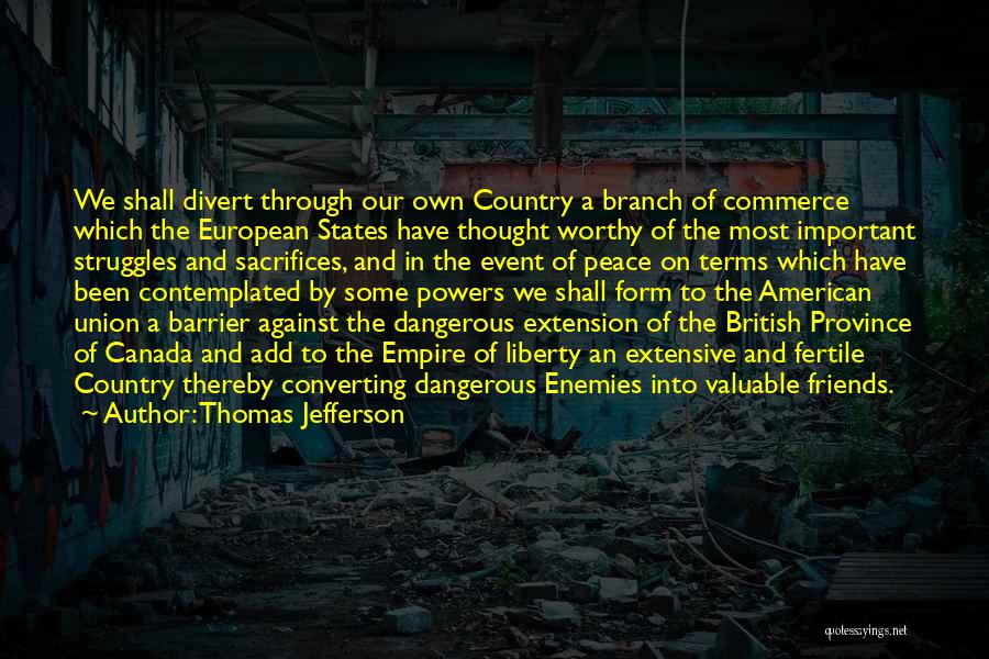 Through My Struggles Quotes By Thomas Jefferson