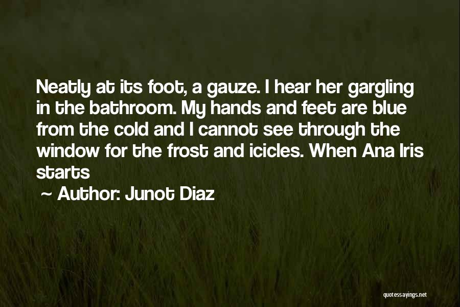 Through My Window Quotes By Junot Diaz