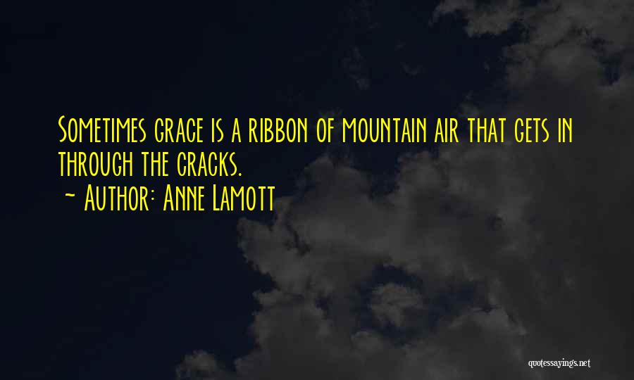 Through The Cracks Quotes By Anne Lamott