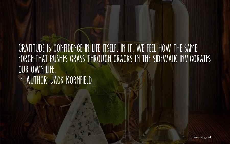 Through The Cracks Quotes By Jack Kornfield