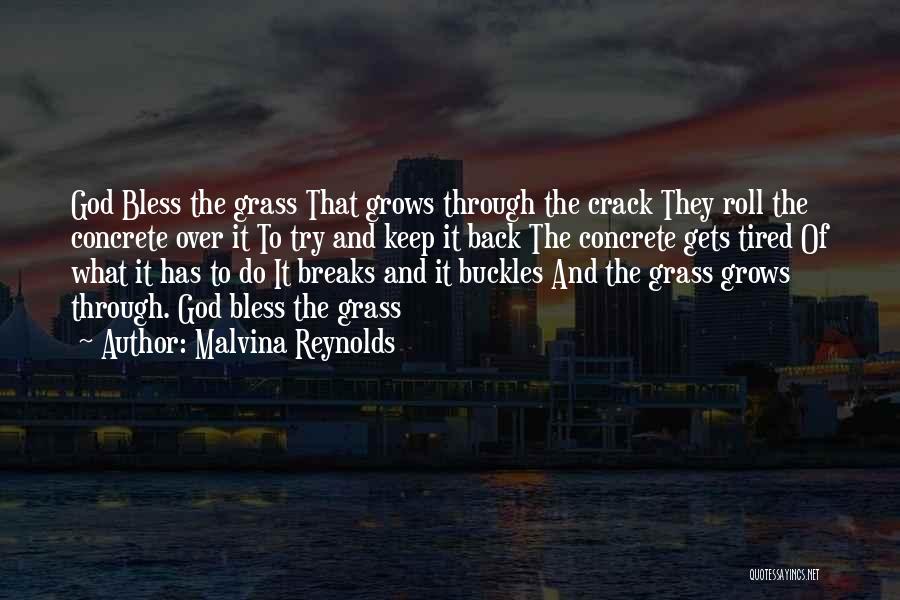 Through The Cracks Quotes By Malvina Reynolds