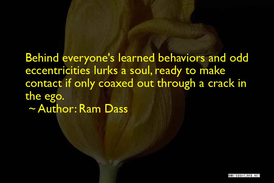 Through The Cracks Quotes By Ram Dass