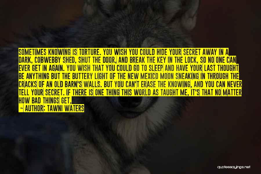 Through The Cracks Quotes By Tawni Waters