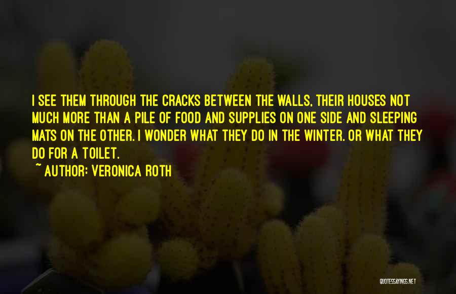 Through The Cracks Quotes By Veronica Roth