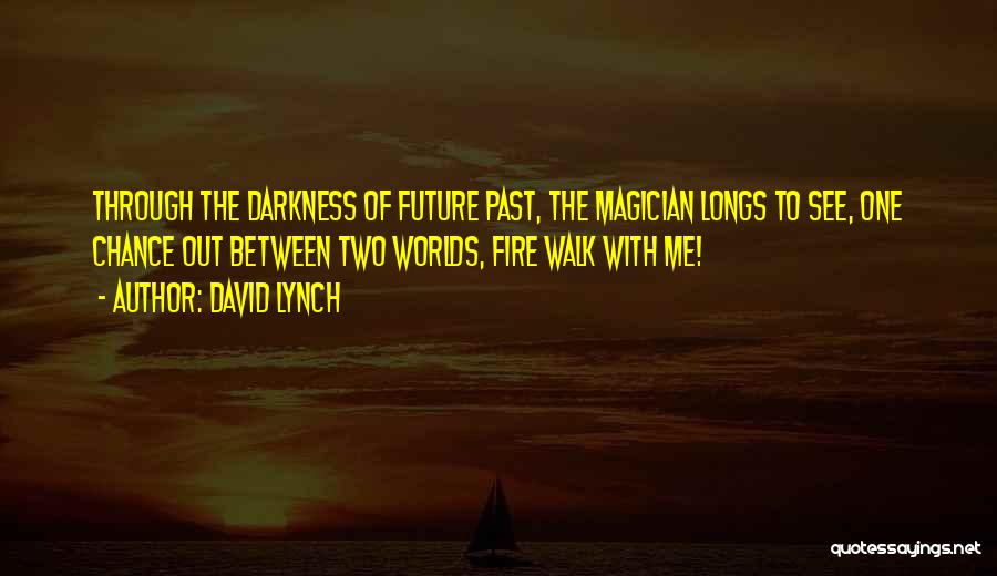 Through The Darkness Quotes By David Lynch
