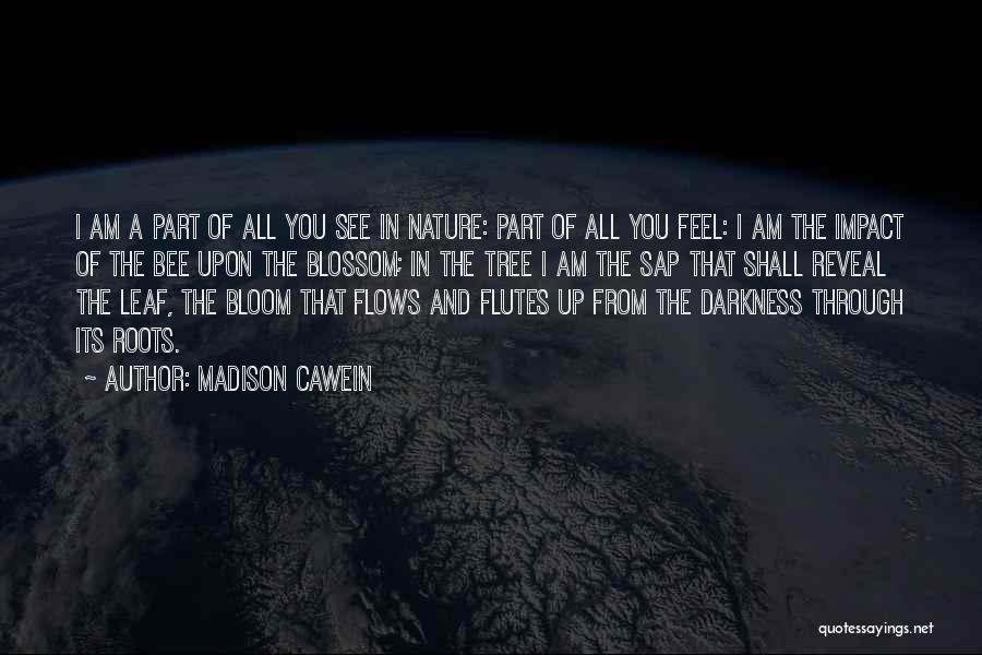 Through The Darkness Quotes By Madison Cawein