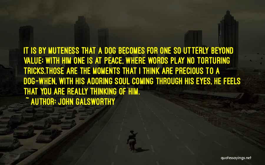 Through The Eyes Of A Dog Quotes By John Galsworthy