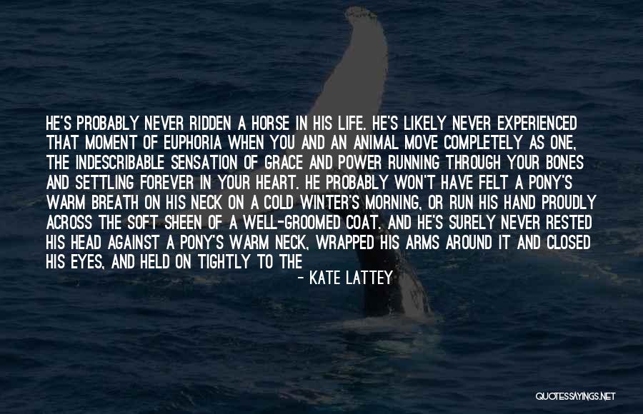 Through The Eyes Of An Animal Quotes By Kate Lattey