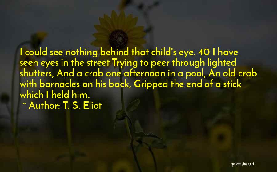 Through The Eyes Of Child Quotes By T. S. Eliot