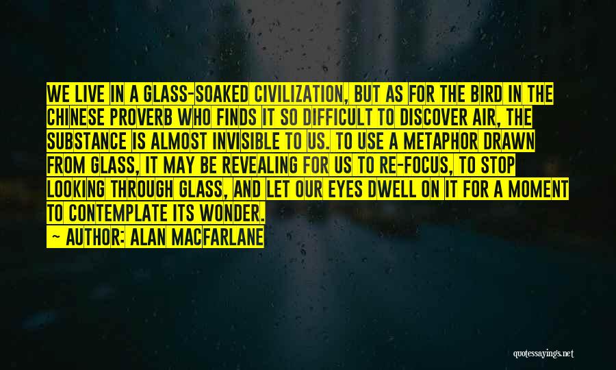 Through The Looking Glass Quotes By Alan Macfarlane