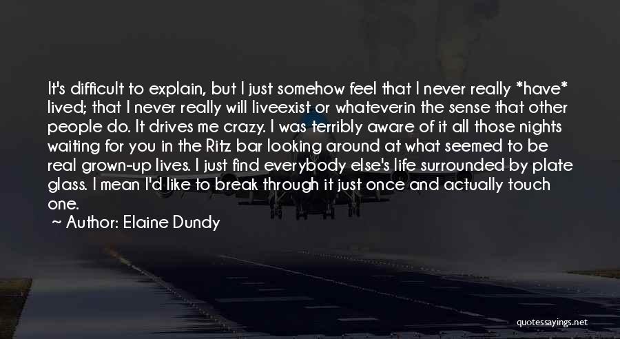 Through The Looking Glass Quotes By Elaine Dundy