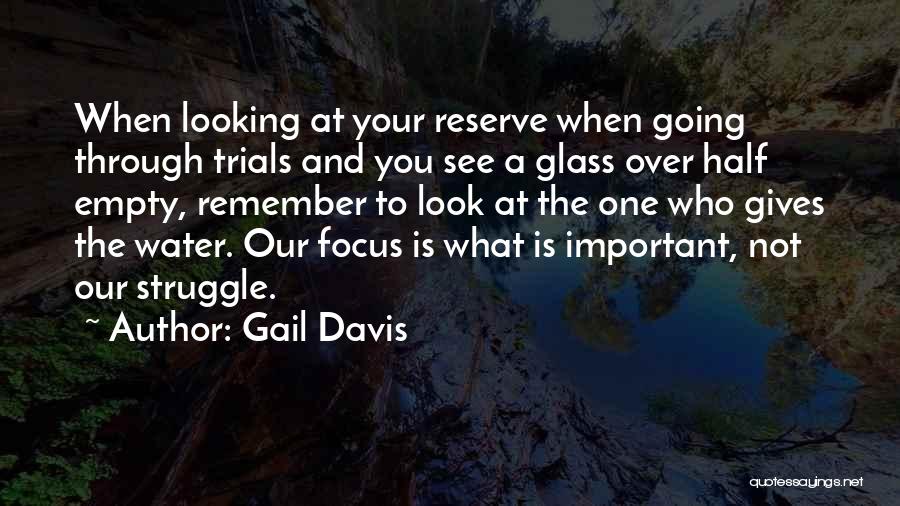 Through The Looking Glass Quotes By Gail Davis