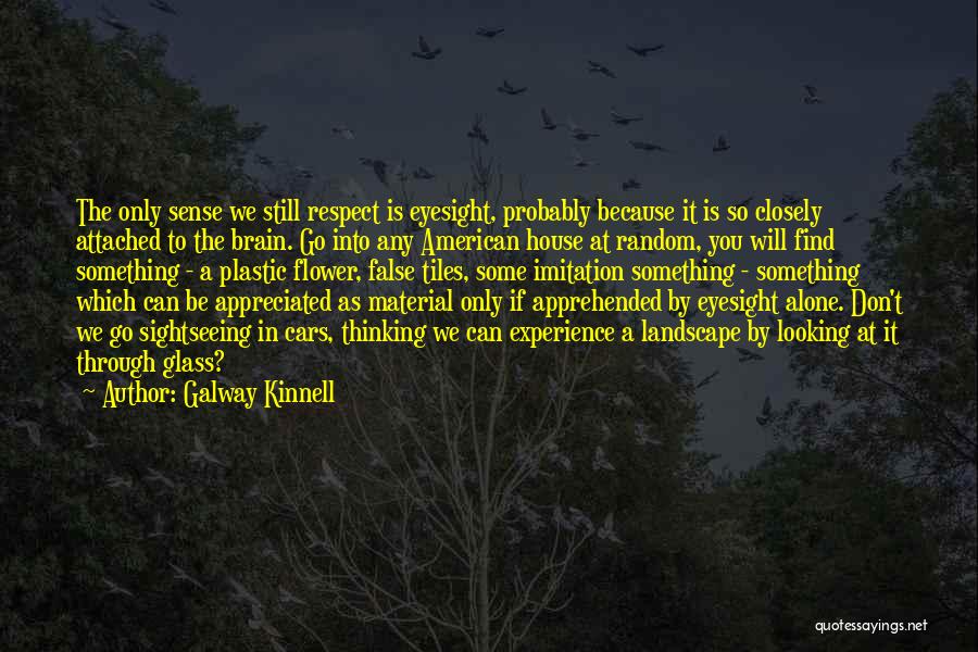 Through The Looking Glass Quotes By Galway Kinnell