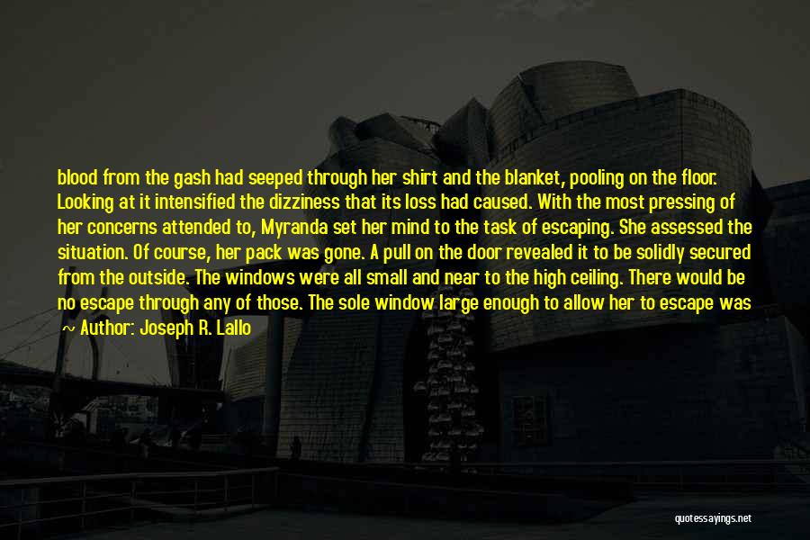 Through The Looking Glass Quotes By Joseph R. Lallo